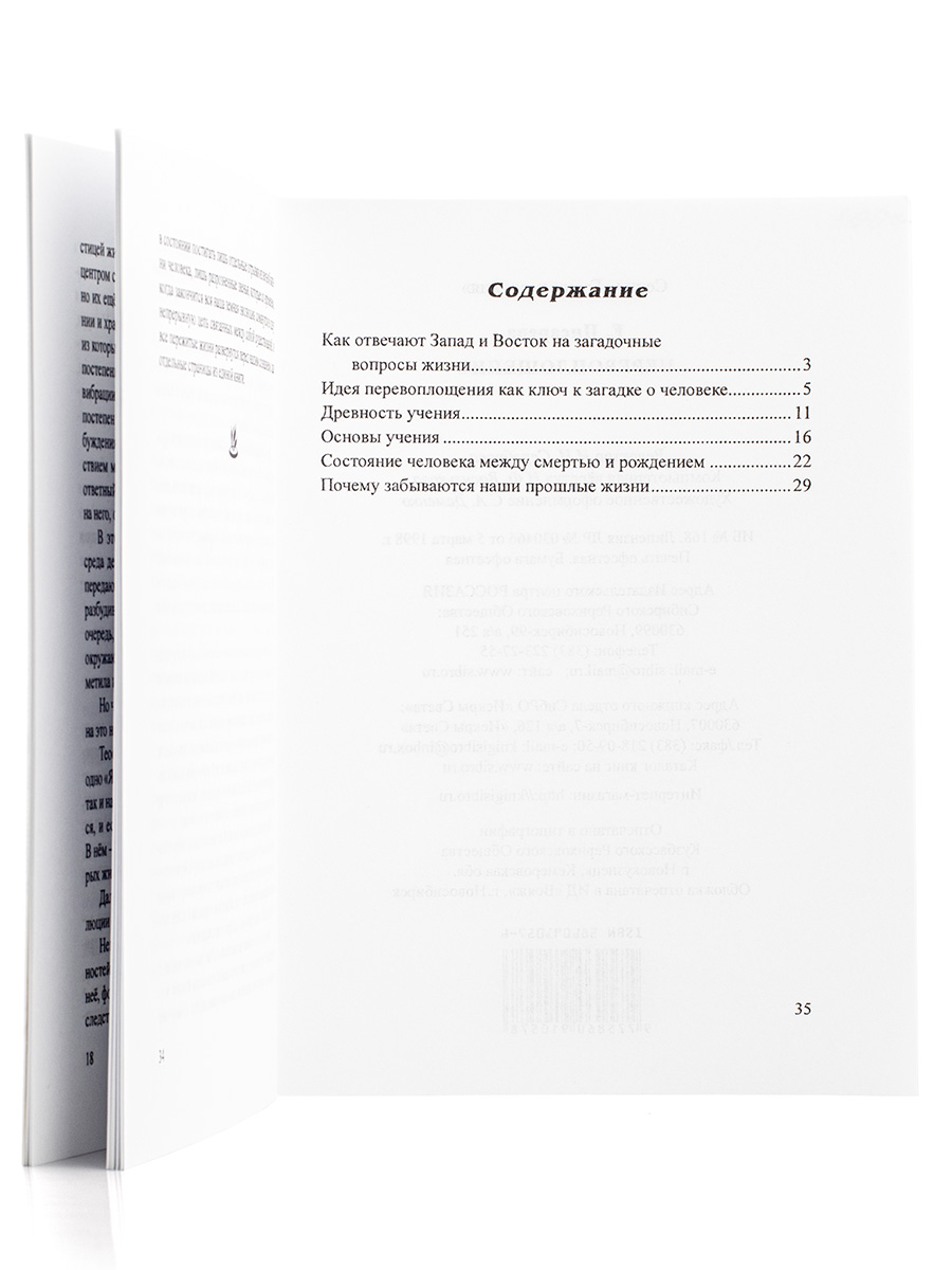 Перевоплощение.  Е. Писарева